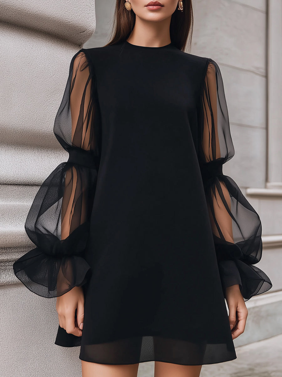 Sheer Lantern Sleeve A-Line Mini Dress