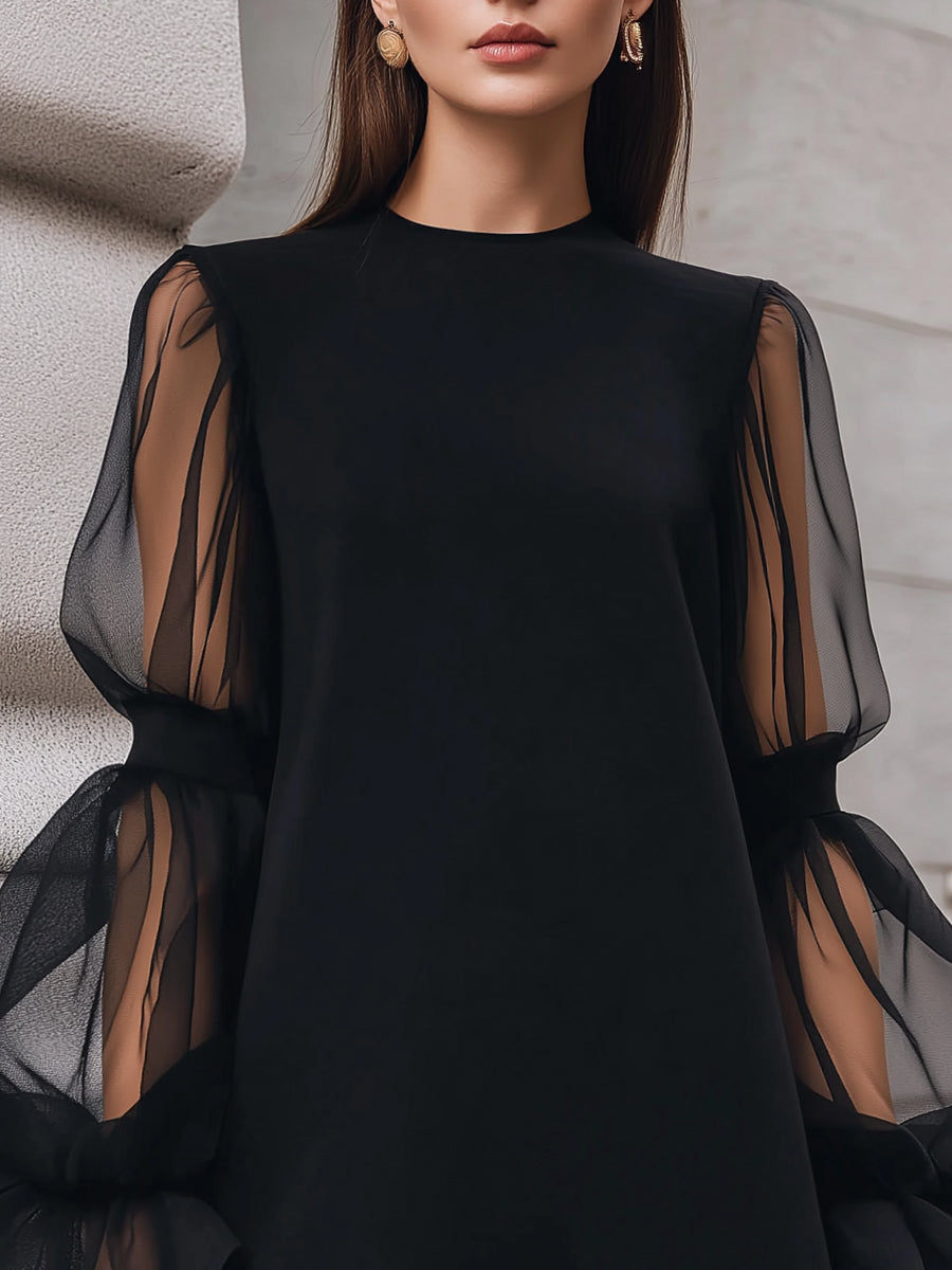 Sheer Lantern Sleeve A-Line Mini Dress
