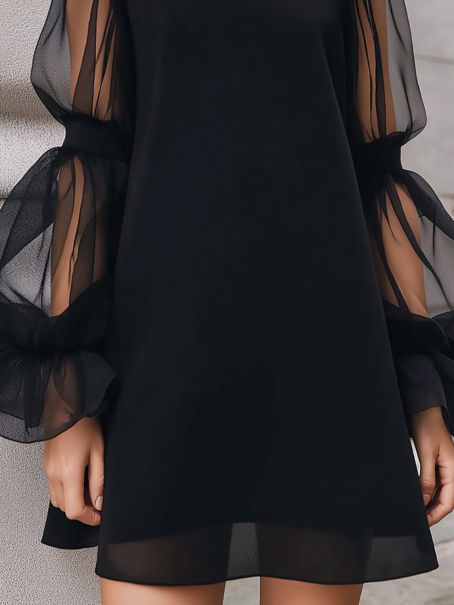 Sheer Lantern Sleeve A-Line Mini Dress