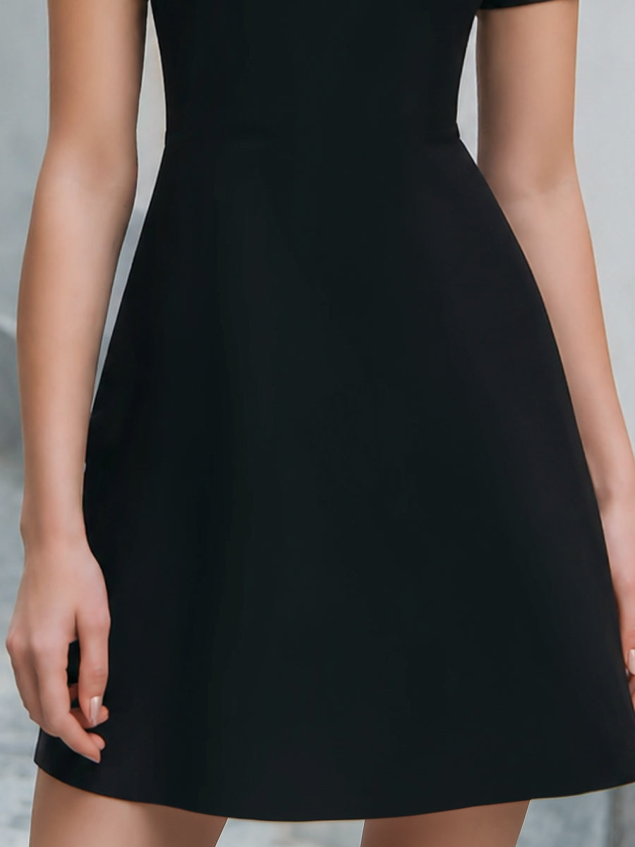 Sheer Sleeve Minimalist A-Line Mini Dress